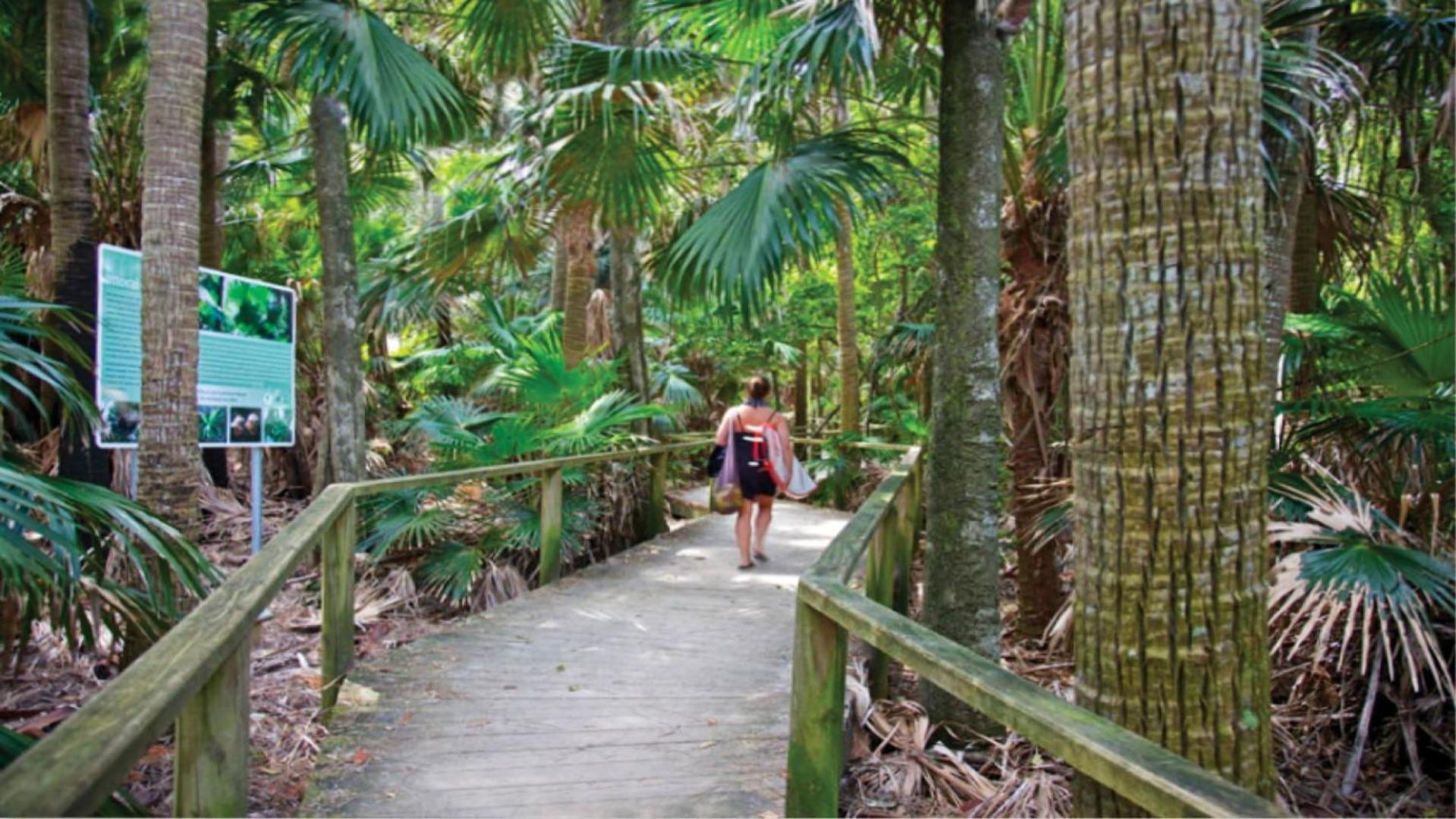 Rainforest Tranquility Vila Elizabeth Beach Exterior foto